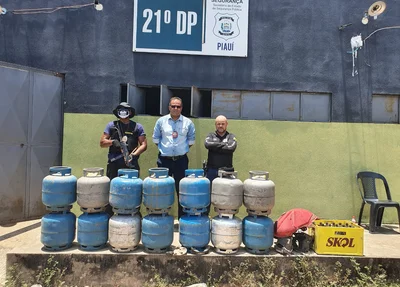 Parte da carga recuperada pela Polícia Civil do Piauí