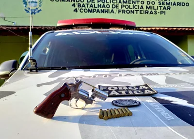 Arma de fogo apreendida