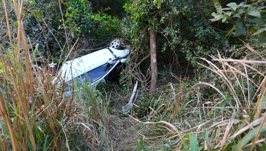Carro entrou na mata 