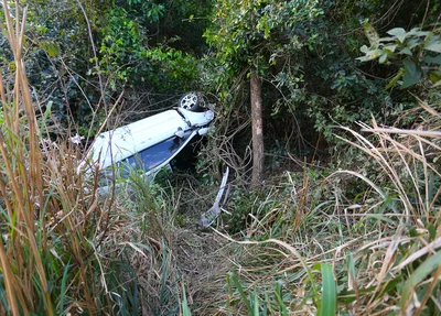 Carro entrou na mata 