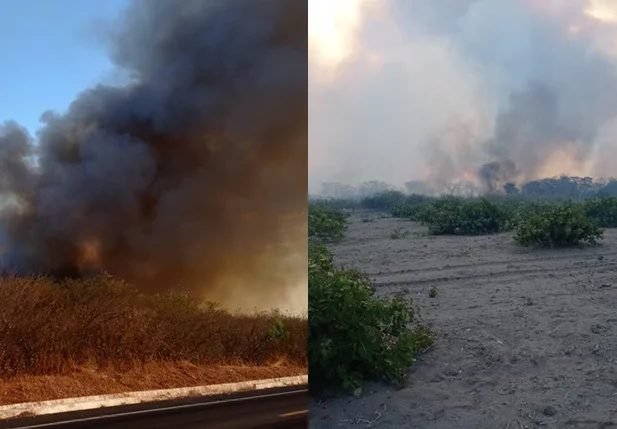 Incêndio atinge vegetação em Monsenhor Hipólito
