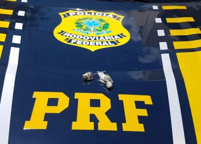 Entorpecente apreendido pela PRF na BR 316 em Valença do Piauí