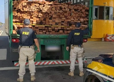 Carga de madeira ilegal