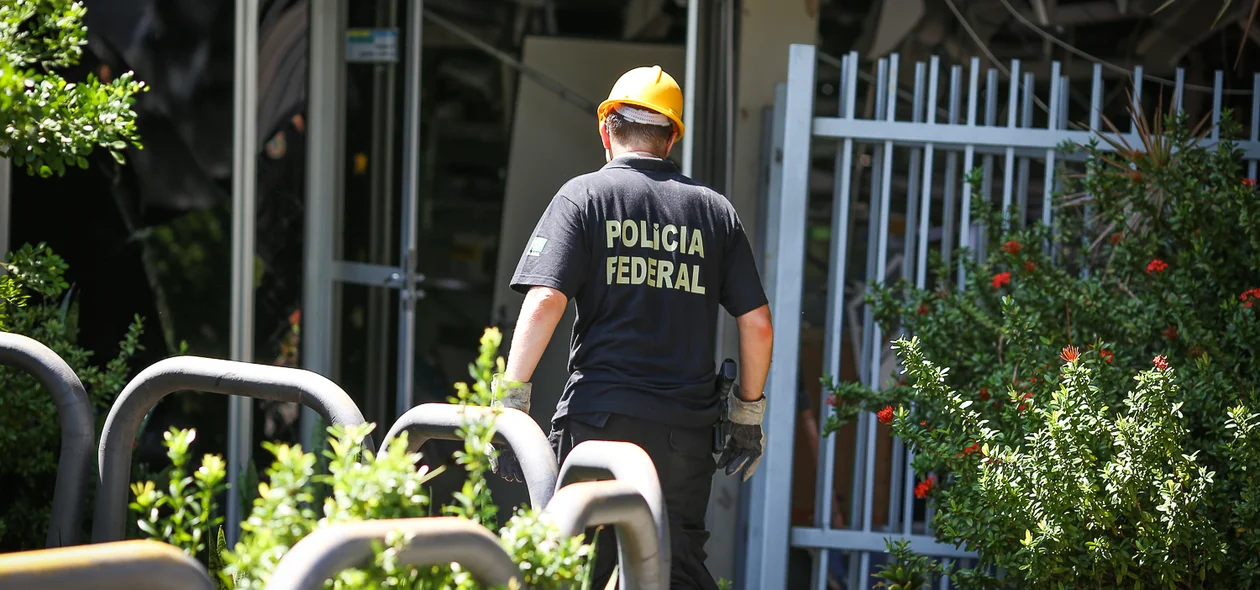 Policial federal 
