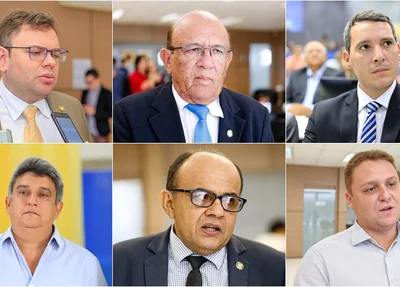 Aluísio Sampaio (PP), Edson Melo (PSDB), Ítalo Barros (PSDB), Joninha (PSDB), Neto do Angelim (PP) e Venâncio (PSDB).