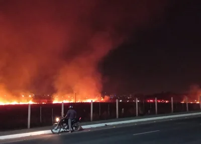 Incêndio atinge vegetação na zona sul de Teresina