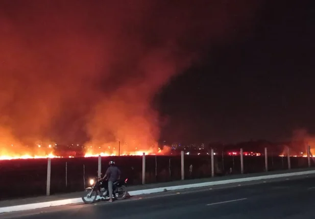 Incêndio atinge vegetação na zona sul de Teresina