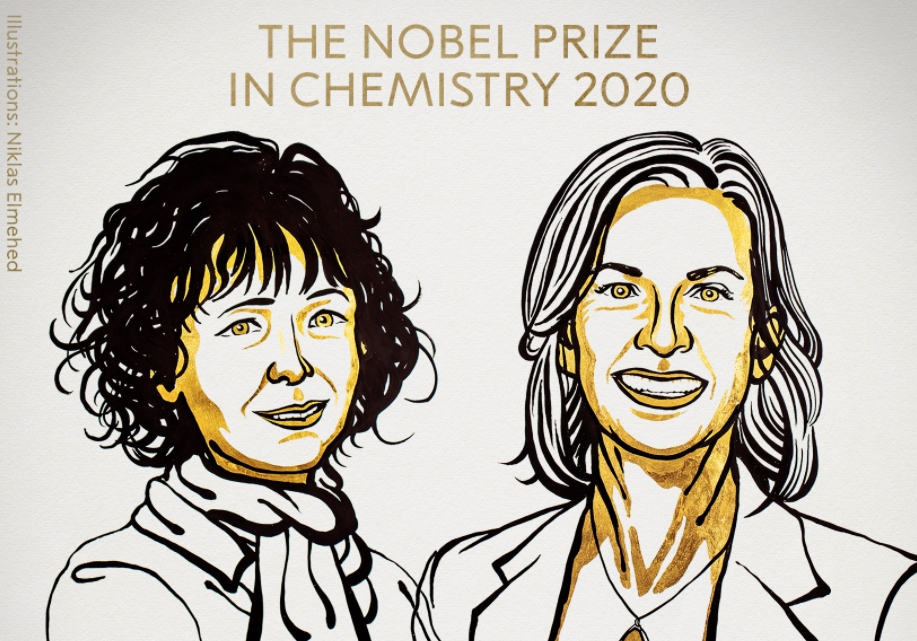 Emmanuelle Charpentier e Jennifer A. Doudna