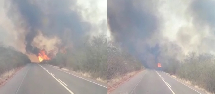 Incêndio destrói reserva ambiental em Canto do Buriti  