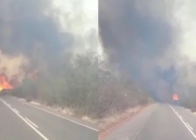 Incêndio destrói reserva ambiental em Canto do Buriti  