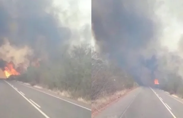 Incêndio destrói reserva ambiental em Canto do Buriti  