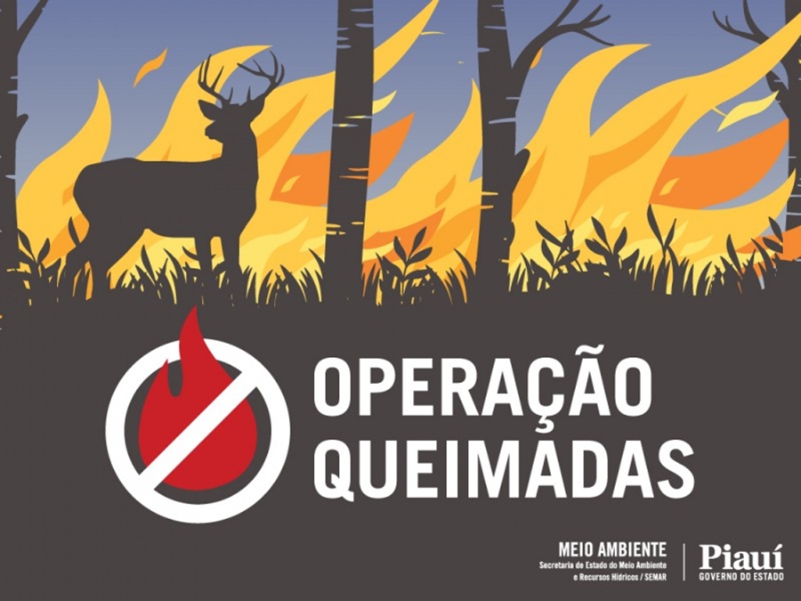 Operação Queimadas da Semar