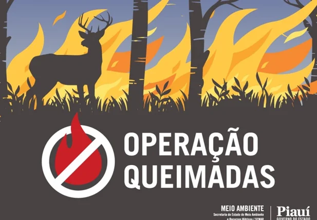 Operação Queimadas da Semar