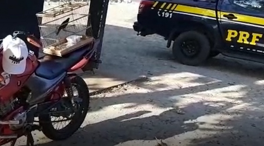 O flagrante aconteceu na BR 316