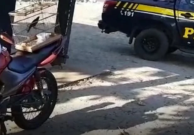 O flagrante aconteceu na BR 316