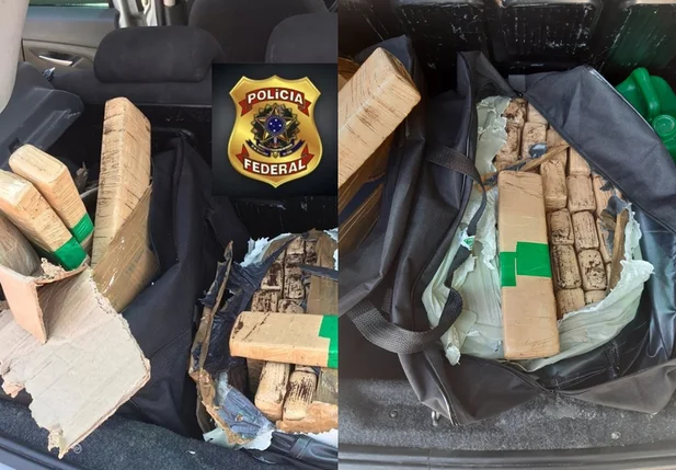 Droga estava escondida em bolsas no interior do veículo