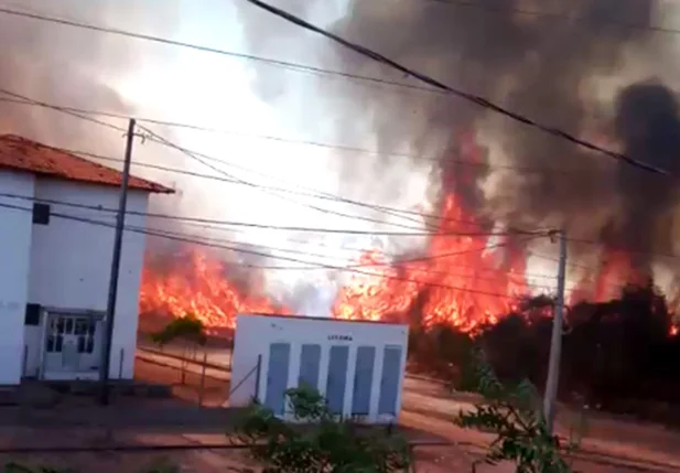 Incêndio em matagal na zona leste de Teresina