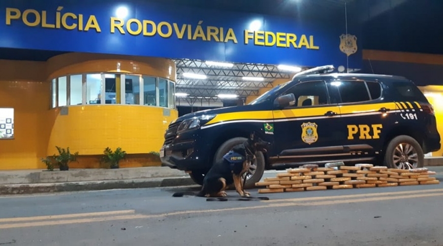 Tabletes de maconha foram apreendidos pela PRF-PI