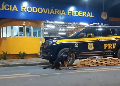 Tabletes de maconha foram apreendidos pela PRF-PI