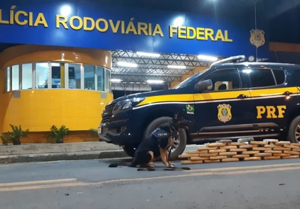 Tabletes de maconha foram apreendidos pela PRF-PI
