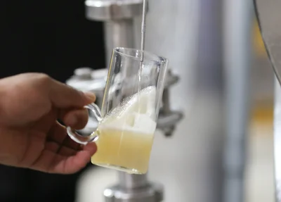 Degustação da cerveja Berrió