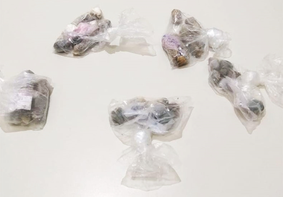 Material apreendido pelos policiais penais