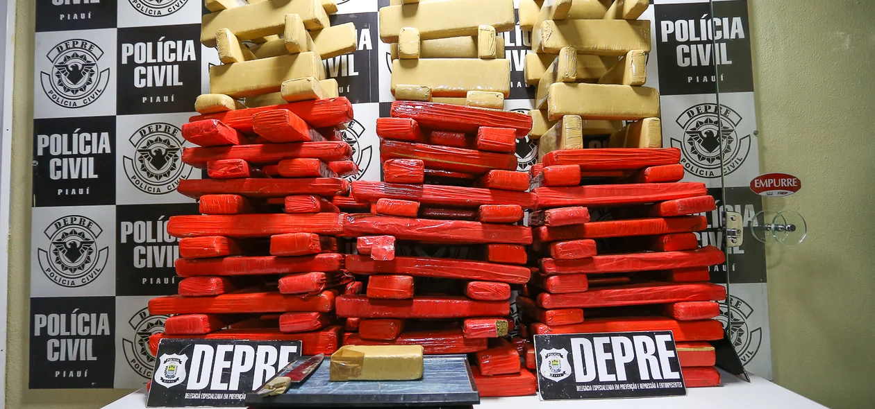 Maconha apreendida pela Depre 