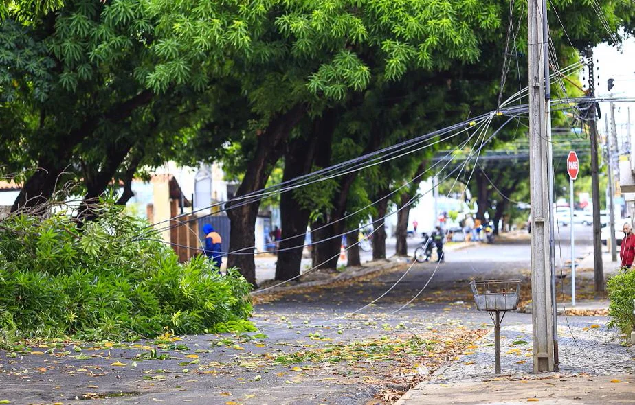 Árvore caiu sobre os fios e danificou a rede elétrica