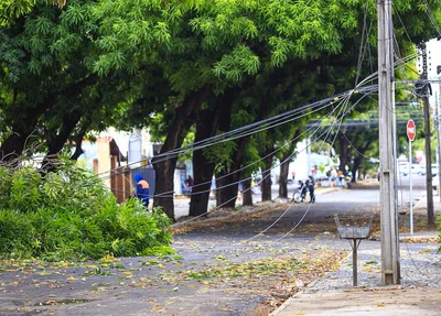 Árvore caiu sobre os fios e danificou a rede elétrica