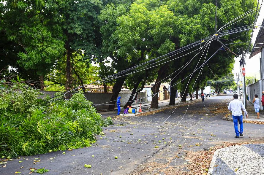 Fiação elétrica ficou danificada