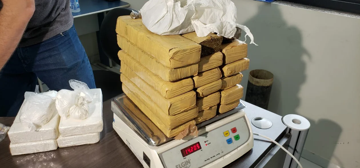 Maconha apreendida pela DENARC