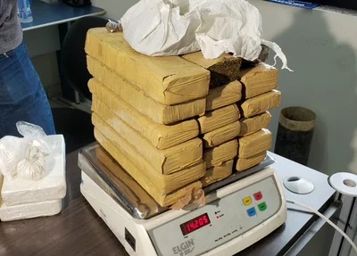 Maconha apreendida pela DENARC