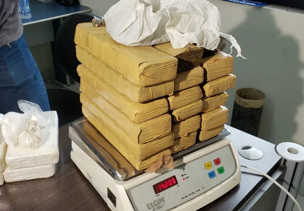 Maconha apreendida pela DENARC