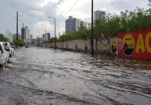 Avenida Cajuína