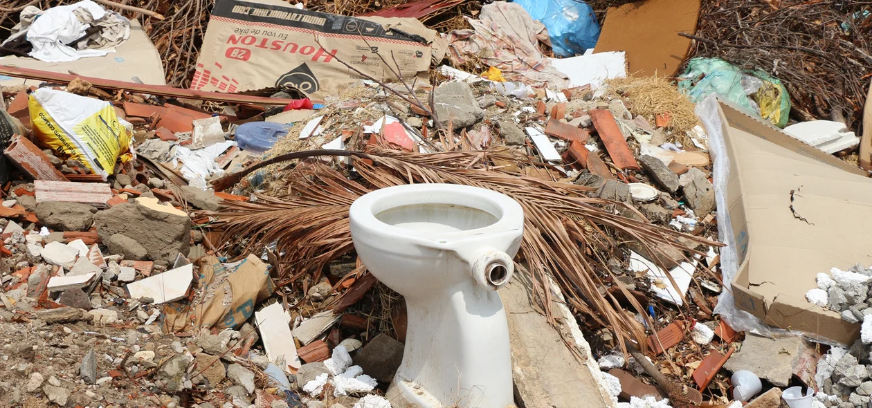 Aparelho sanitário e outros objetos jogados no terreno