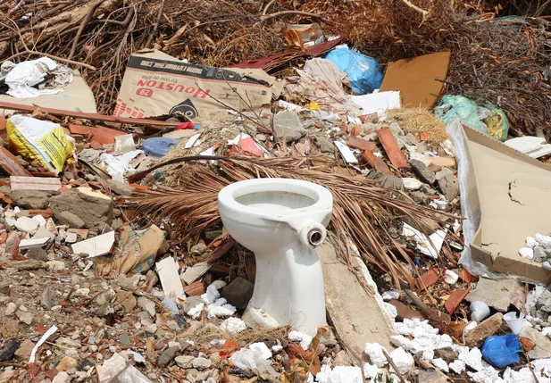 Aparelho sanitário e outros objetos jogados no terreno