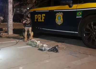 O material foi encontrado com a ajuda de cães farejadores
