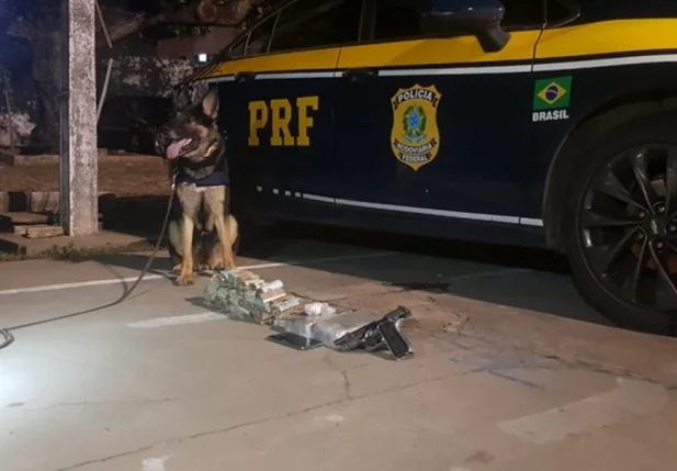 O material foi encontrado com a ajuda de cães farejadores