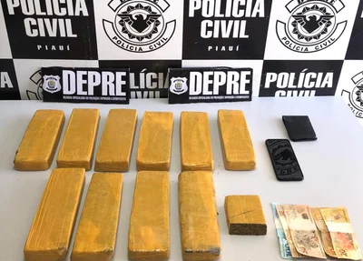 Droga apreendida pela DEPRE