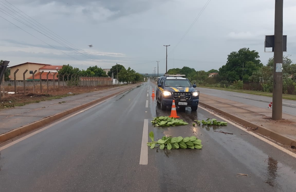 Acidente na BR 343 em Piracuruca
