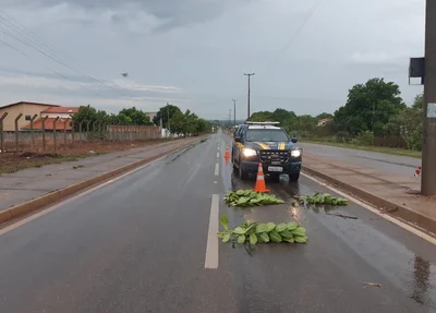 Acidente na BR 343 em Piracuruca