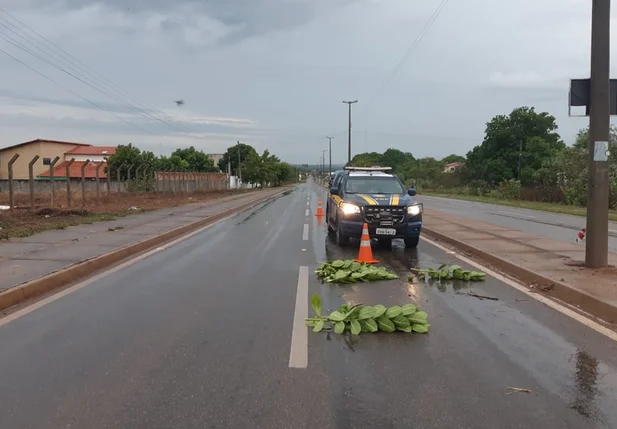 Acidente na BR 343 em Piracuruca