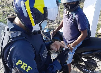 Ao todo, seis pessoas foram presas durante a operação