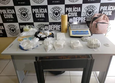Material apreendido pela DEPRE