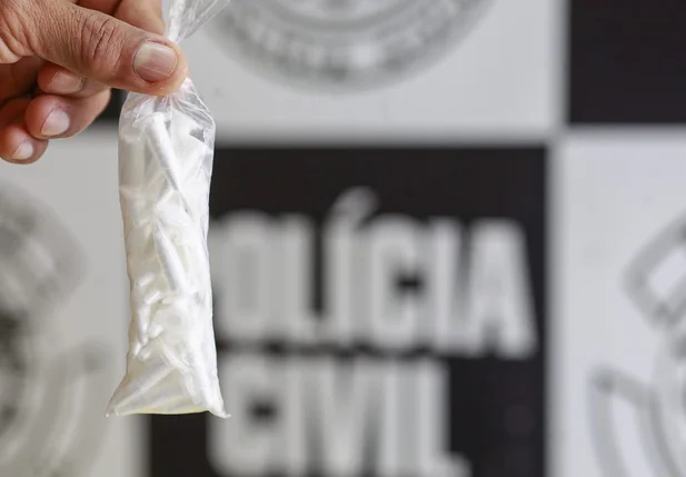 Depre apreende mil pinos de cocaína na zona norte de Teresina