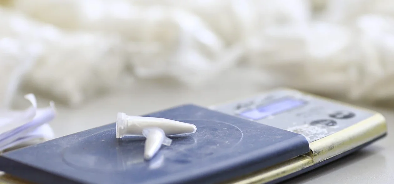 Pinos de cocaína apreendidos