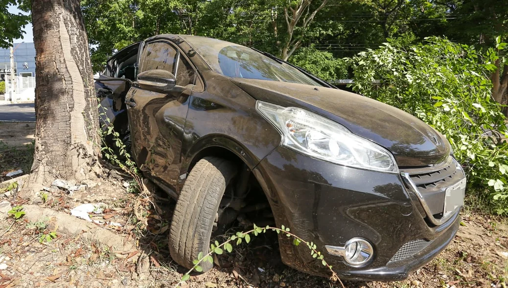 Carro subiu o canteiro central da pista e parou em árvore