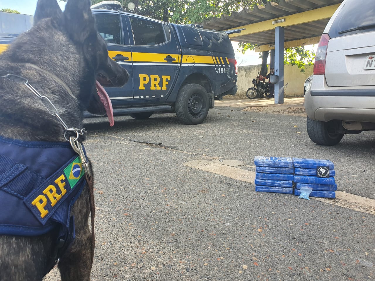 Droga apreendida em Lagoa do Piauí 
