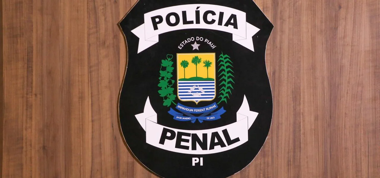Polícia Penal do Piauí