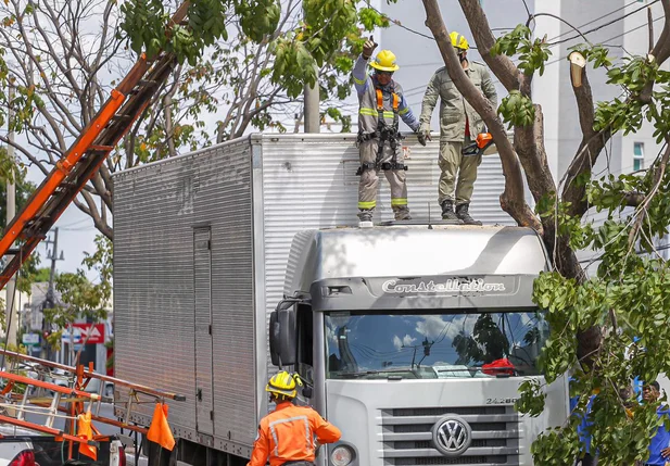 Árvore cai em cima de caminhão em Teresina